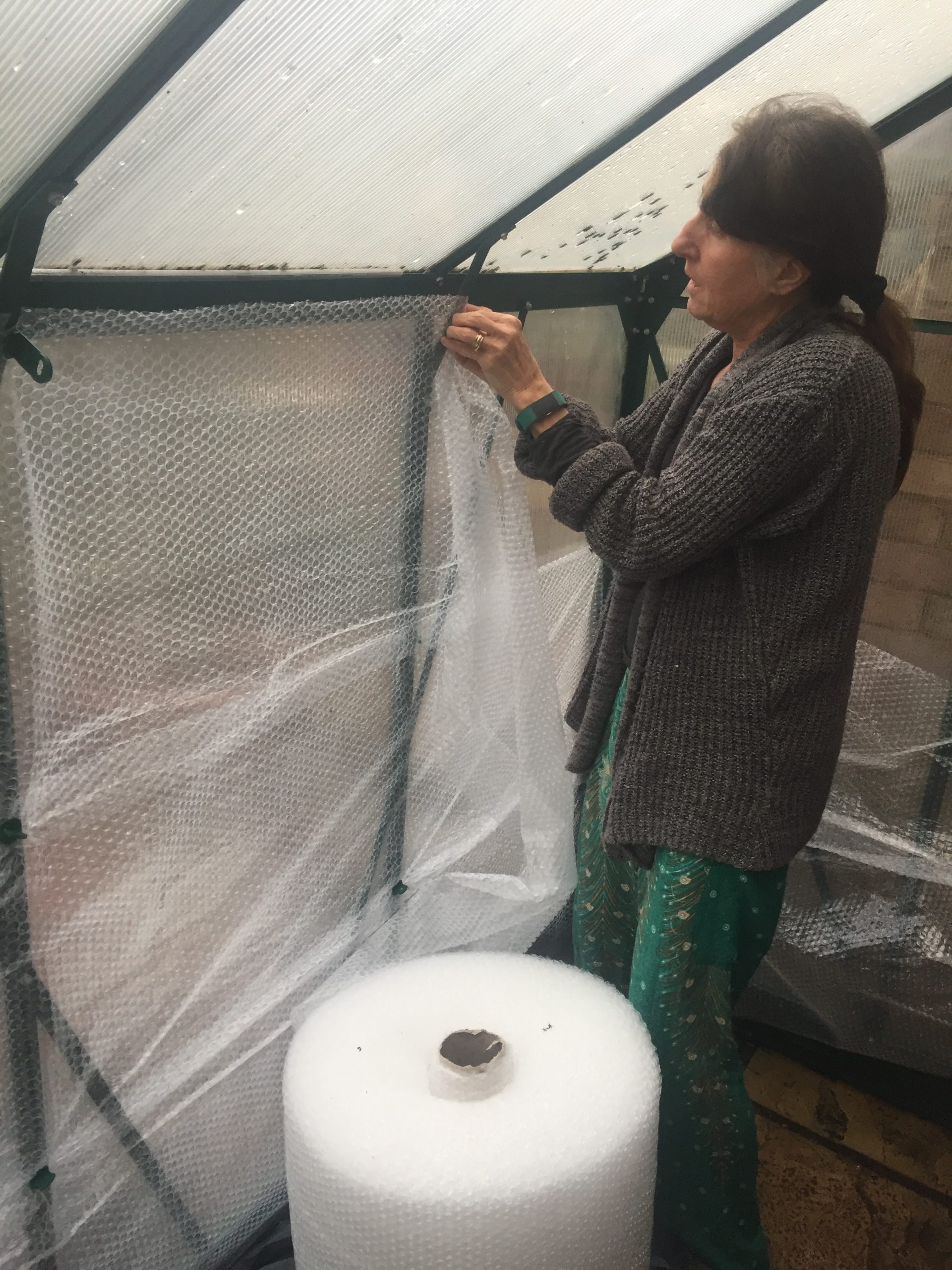  how to bubble wrap a green house tropical gardening