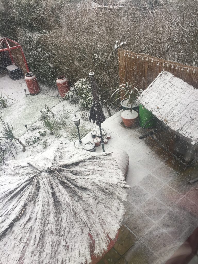 Understanding USDA Zones: A Guide for Gardeners in the UK