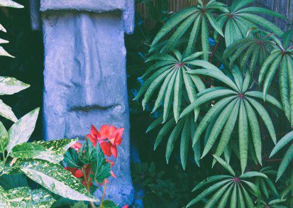 How long does it take to make a tropical style garden in the UK?